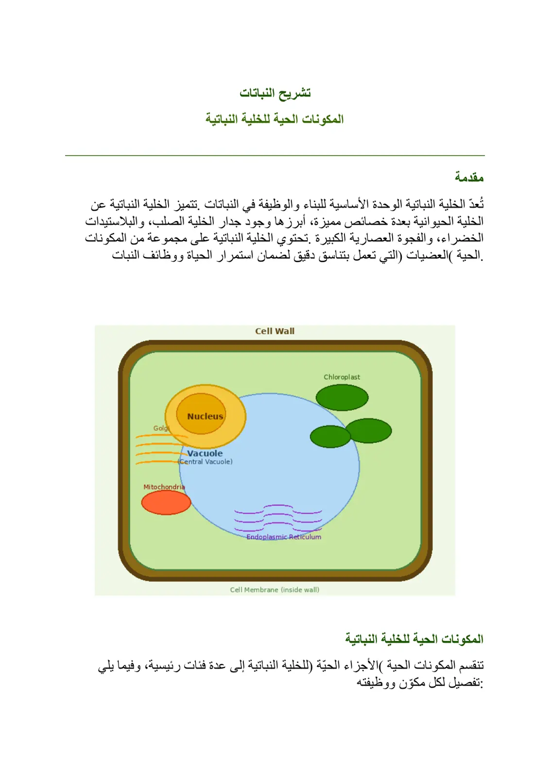 غلاف تقرير تشريح النباتات