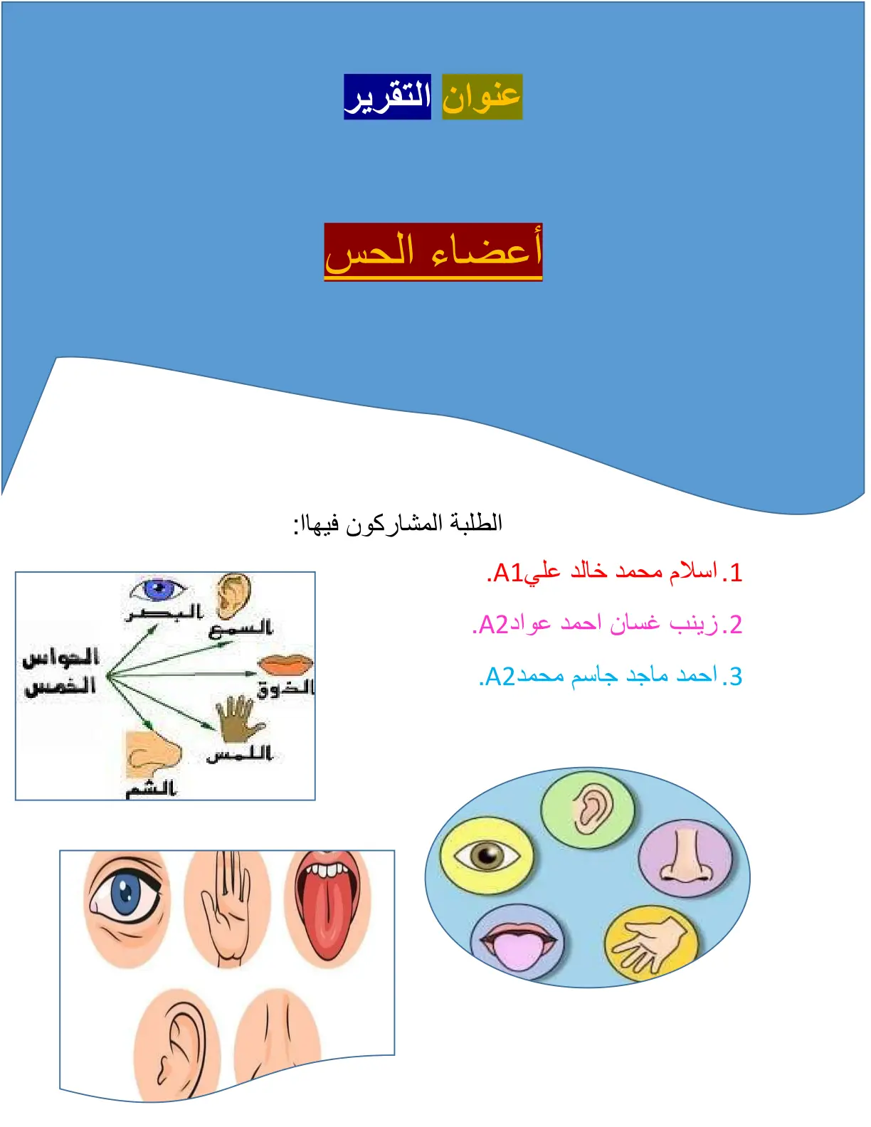 غلاف تقرير أعضاء الحس
