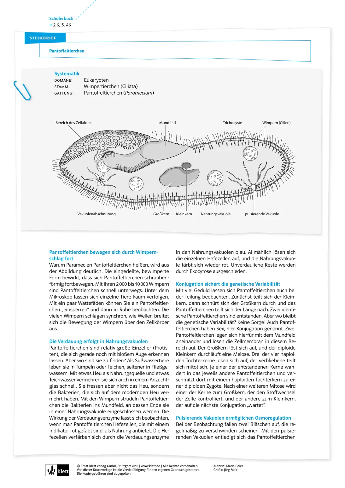 غلاف تقرير STECKBRIEF Pantoffeltierchen