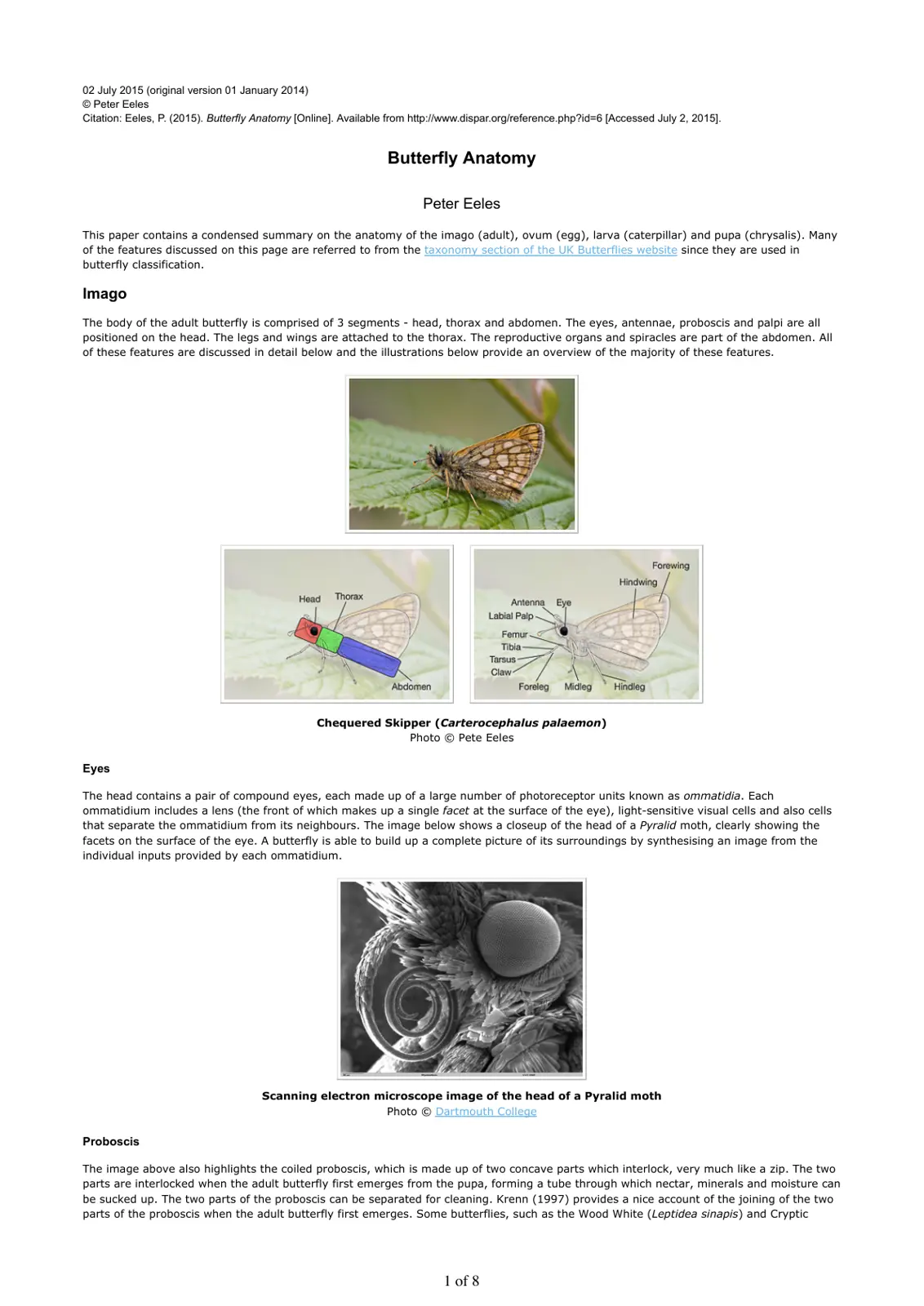 غلاف تقرير Butterfly Anatomy