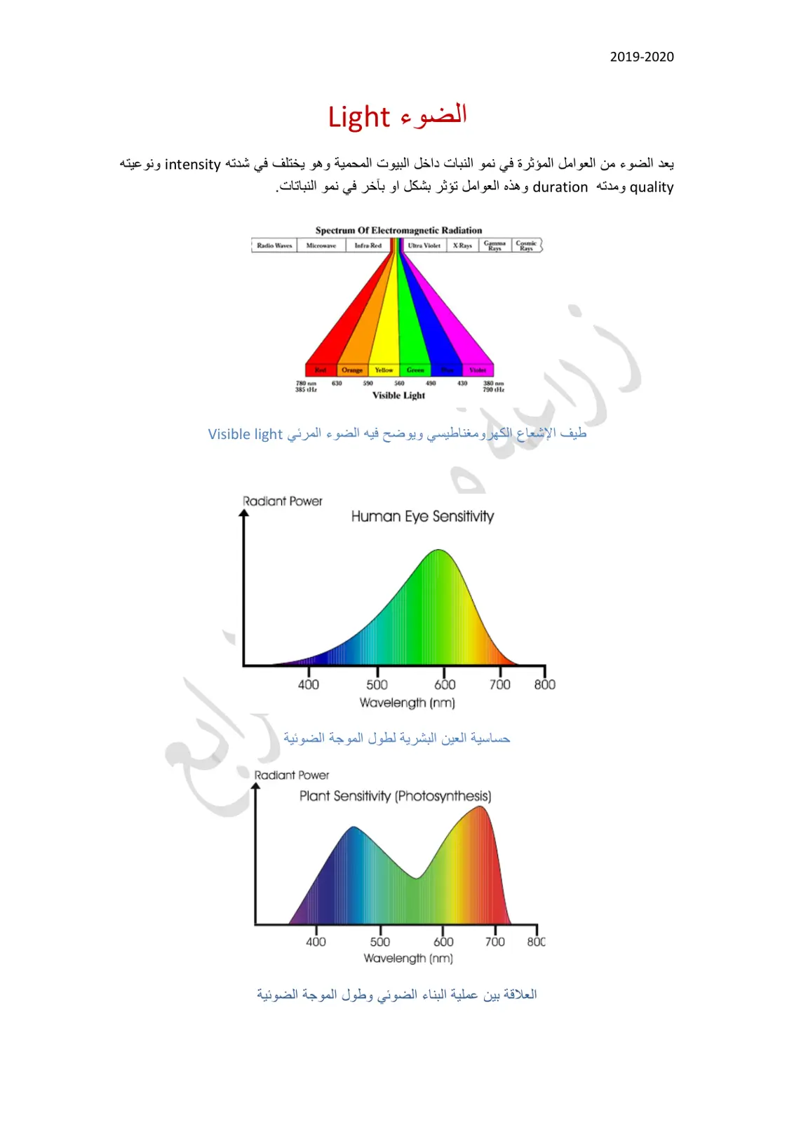 غلاف تقرير الضوء