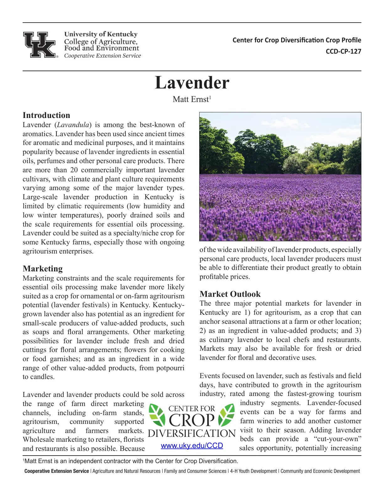 غلاف تقرير Lavender - Center for Crop Diversification Crop Profile