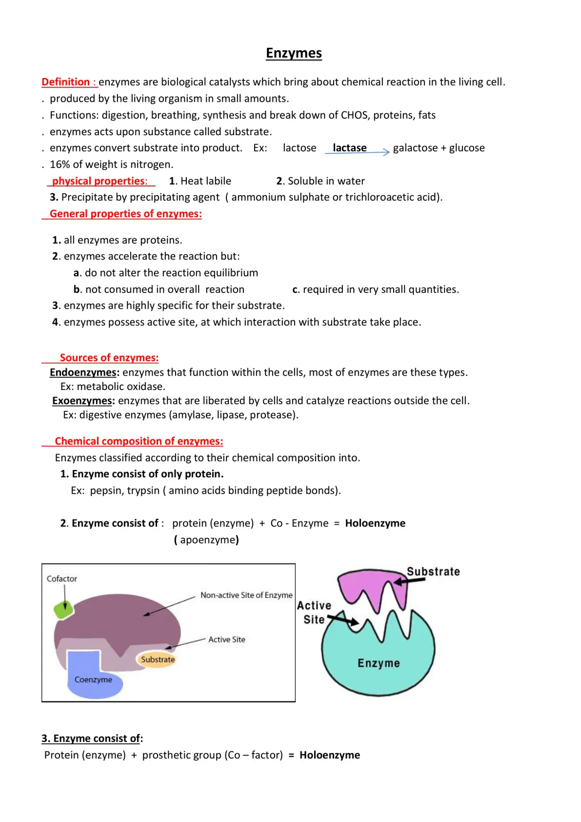 غلاف تقرير Enzymes