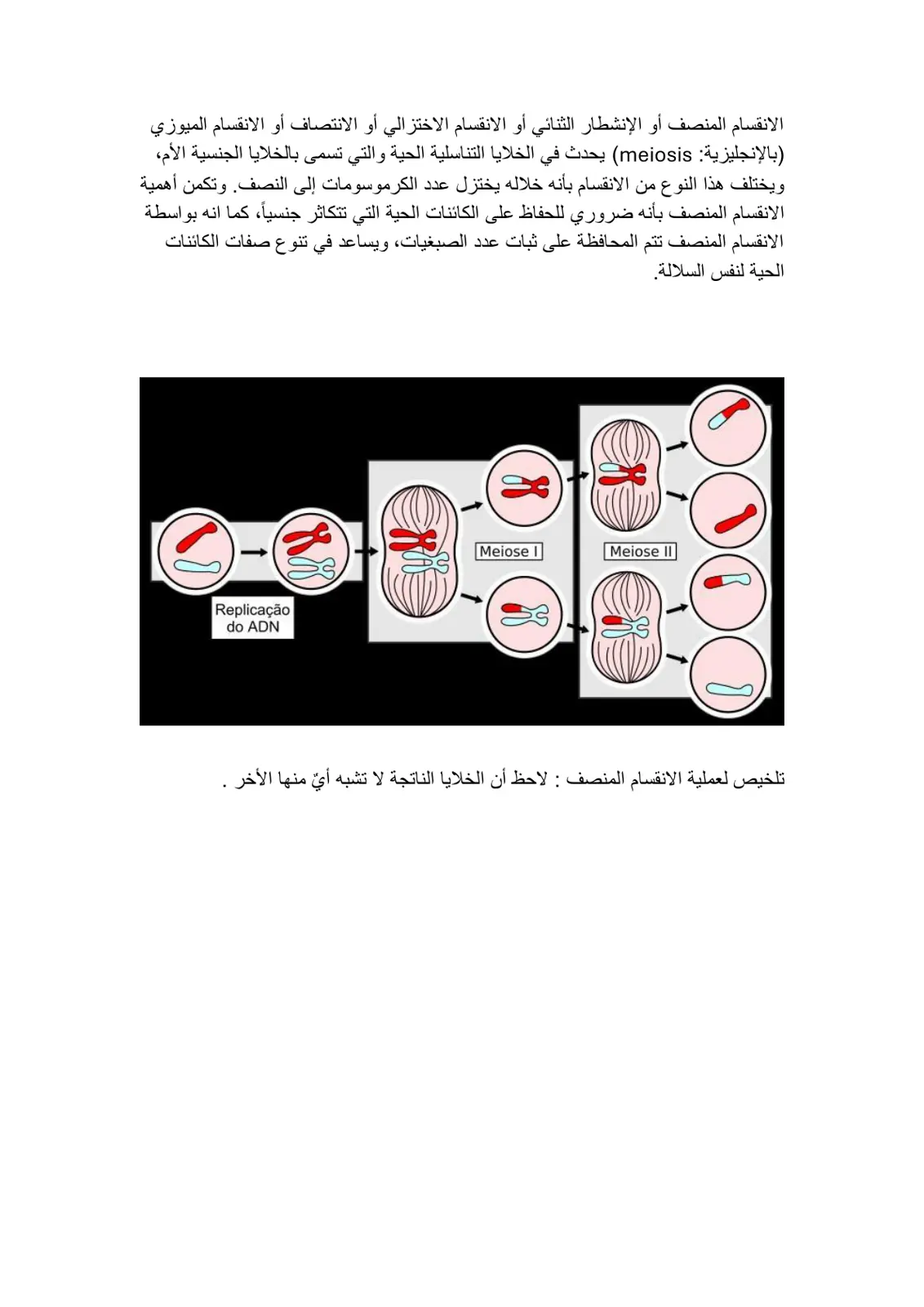 غلاف تقرير الانقسام المنصف