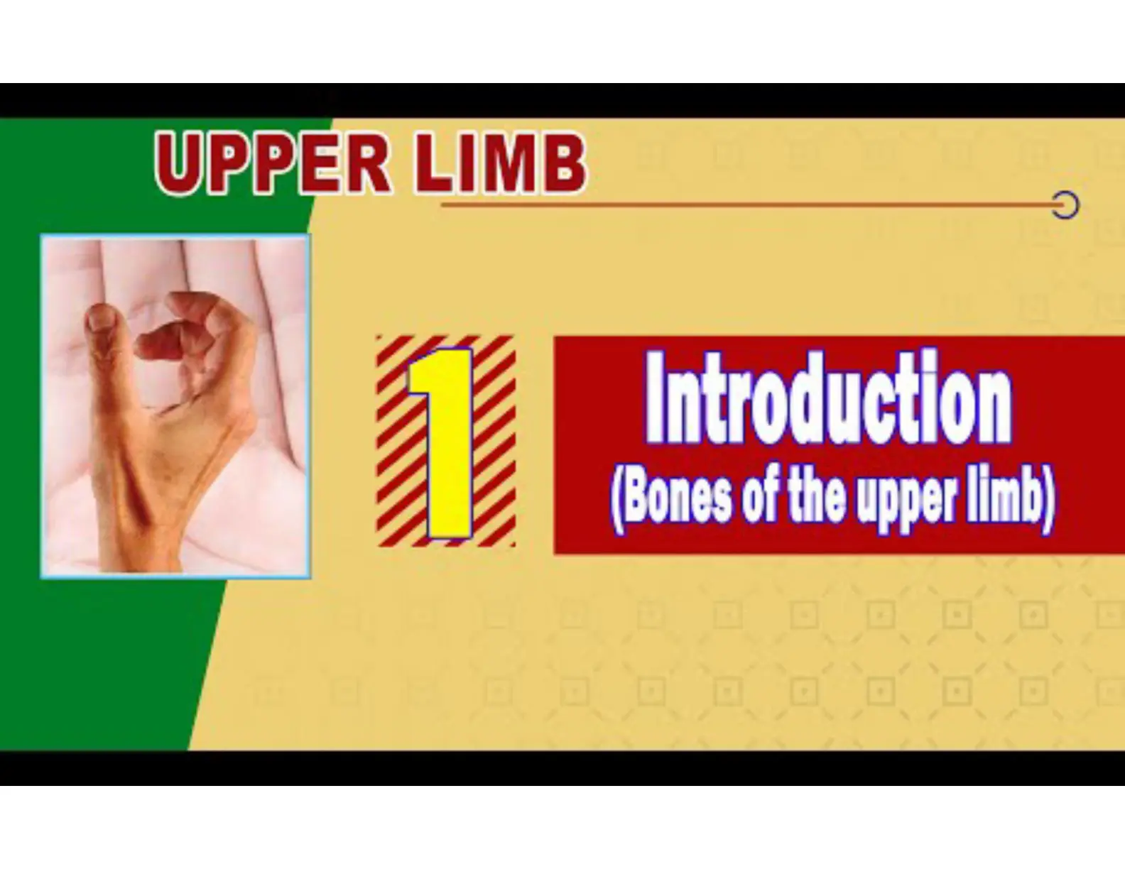 غلاف تقرير UPPER LIMB Introduction