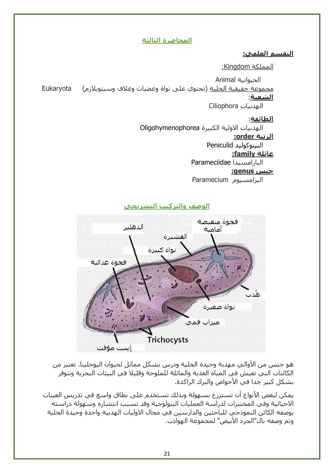 غلاف تقرير البرامسيوم (Paramecium): الوصف والتركيب التشريحي