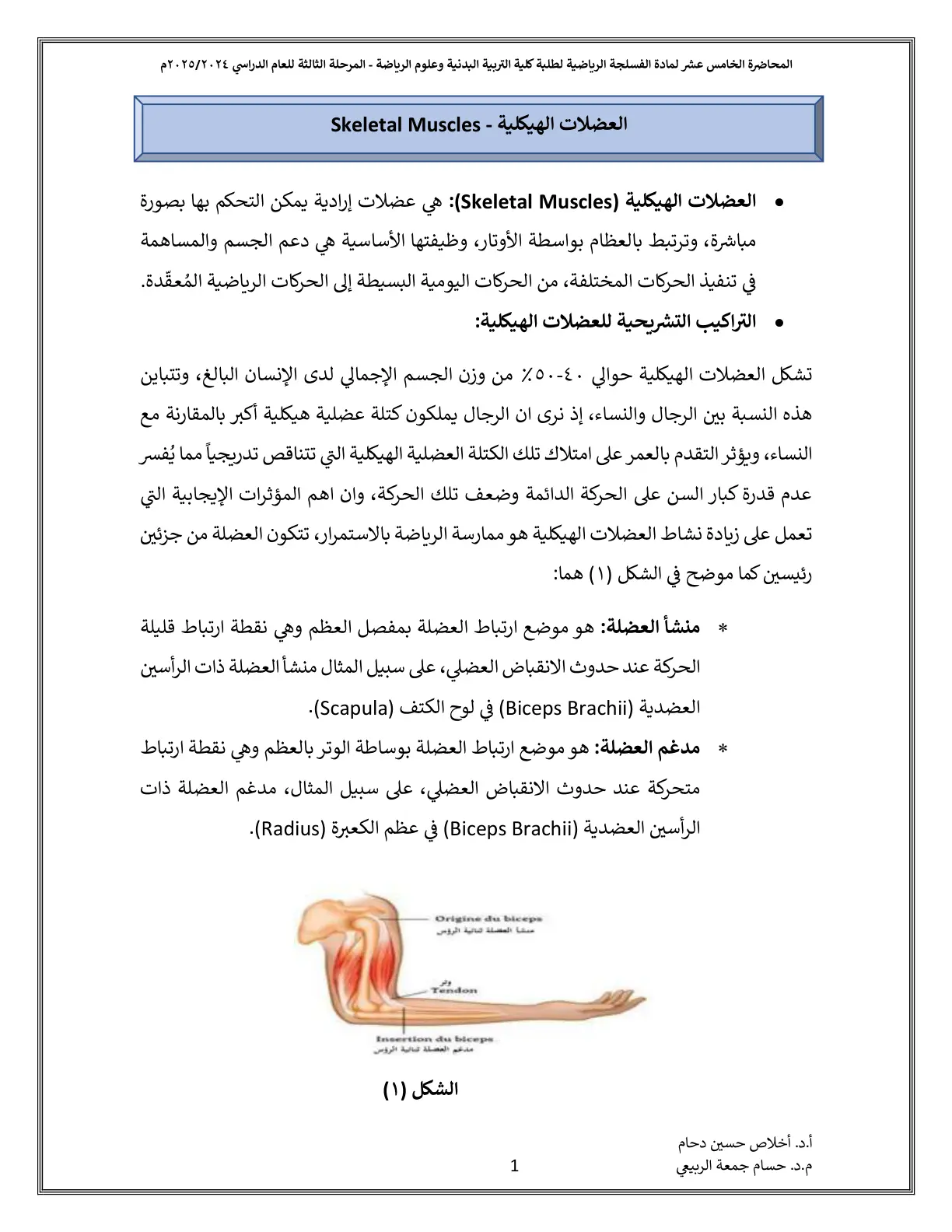 غلاف تقرير العضلات الهيكلية – الفسلجة الرياضية
