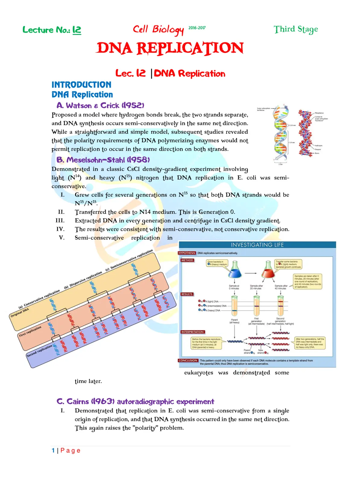 غلاف تقرير Cell Biology - DNA Replication