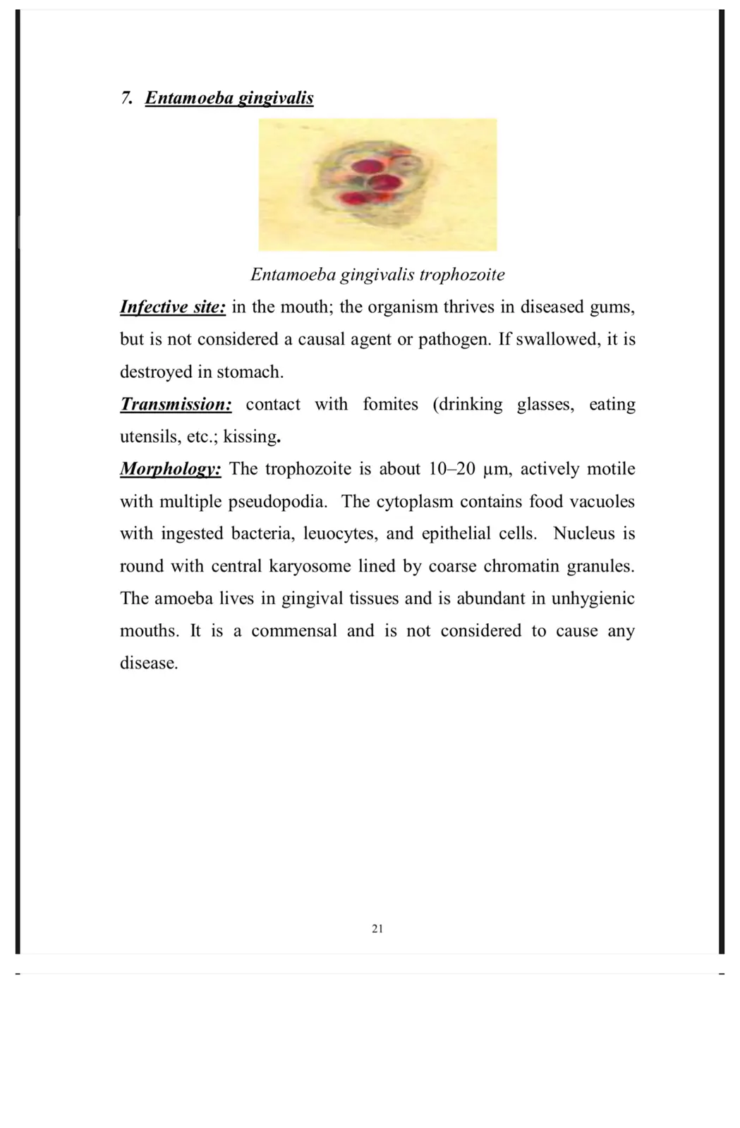 غلاف تقرير Entamoeba gingivalis