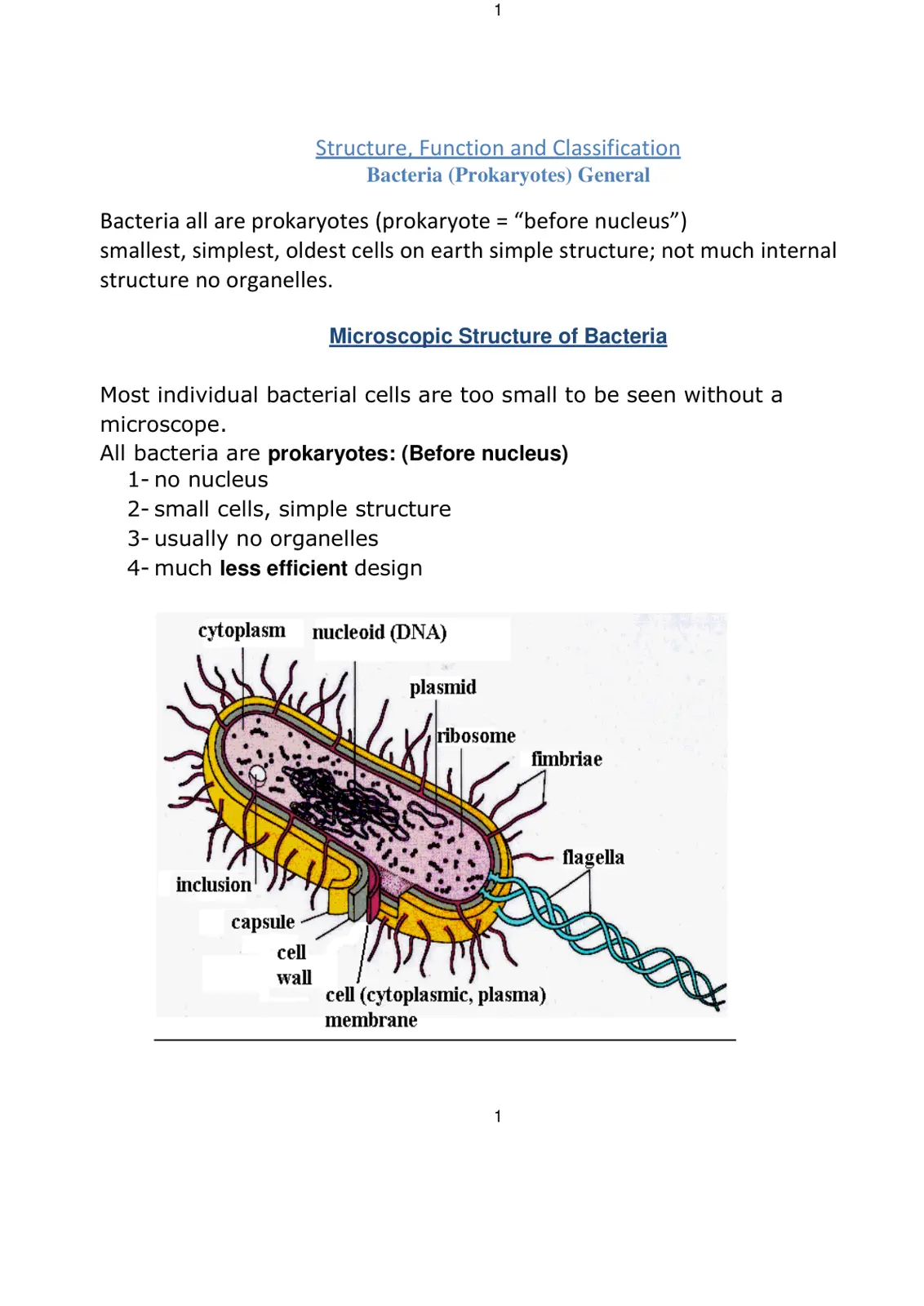 غلاف تقرير Structure, Function and Classification Bacteria (Prokaryotes) General