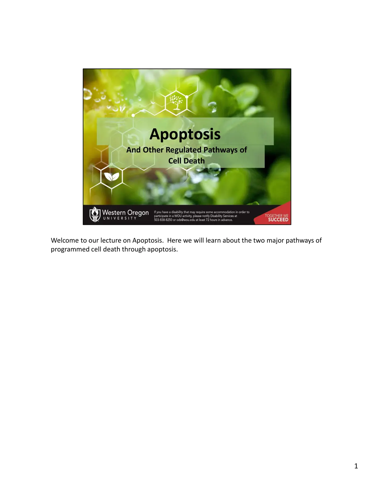 غلاف تقرير Apoptosis And Other Regulated Pathways of Cell Death