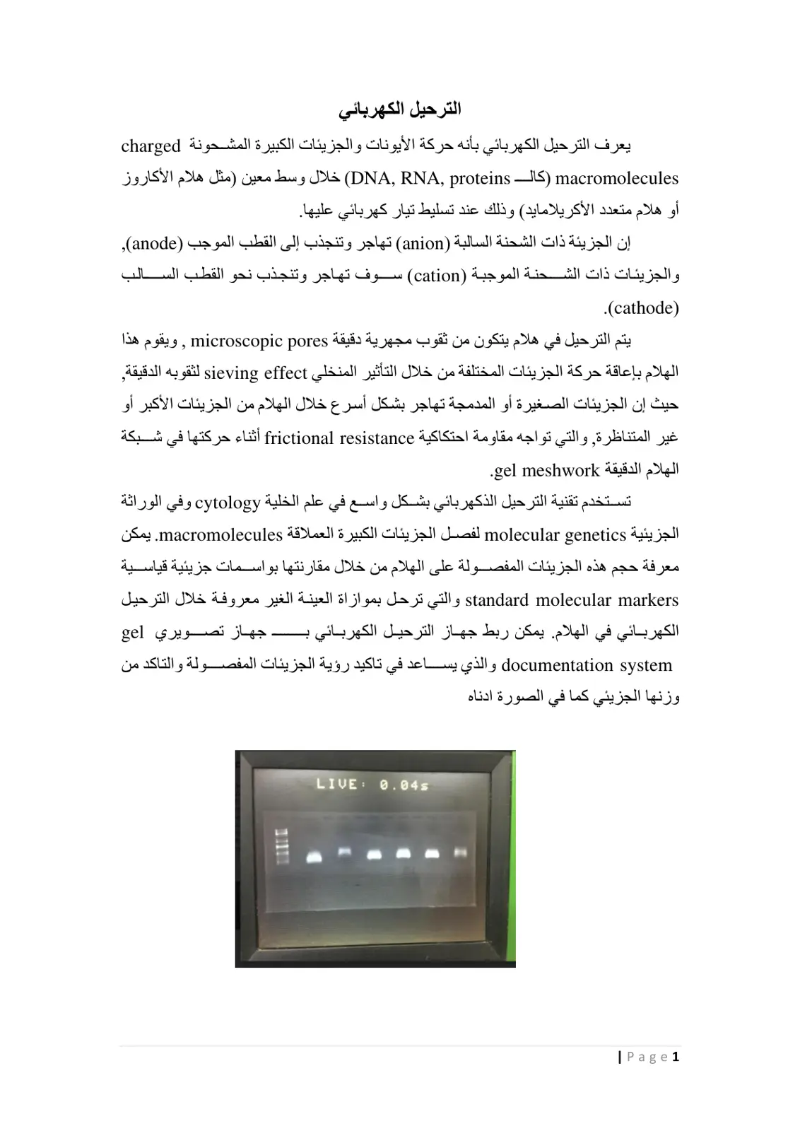 غلاف تقرير الترحيل الكهربائي