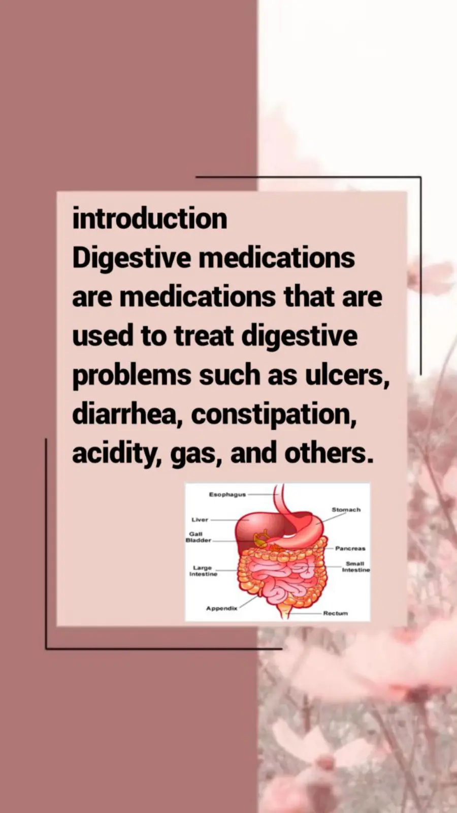 غلاف تقرير Digestive medications