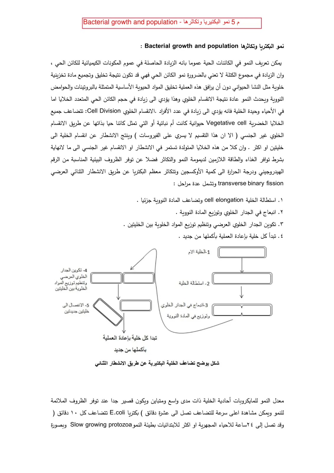 غلاف تقرير نمو البكتيريا وتكاثرها - Bacterial growth and population