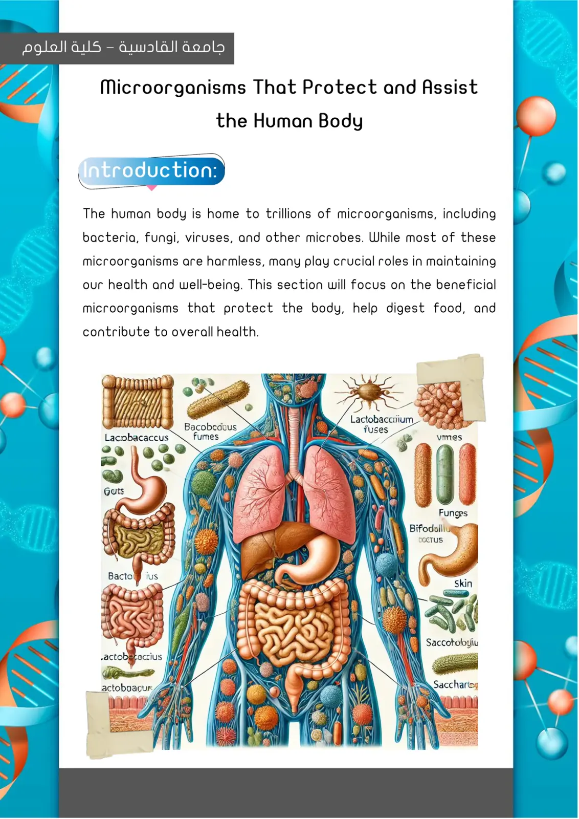 غلاف تقرير Microorganisms That Protect and Assist the Human Body