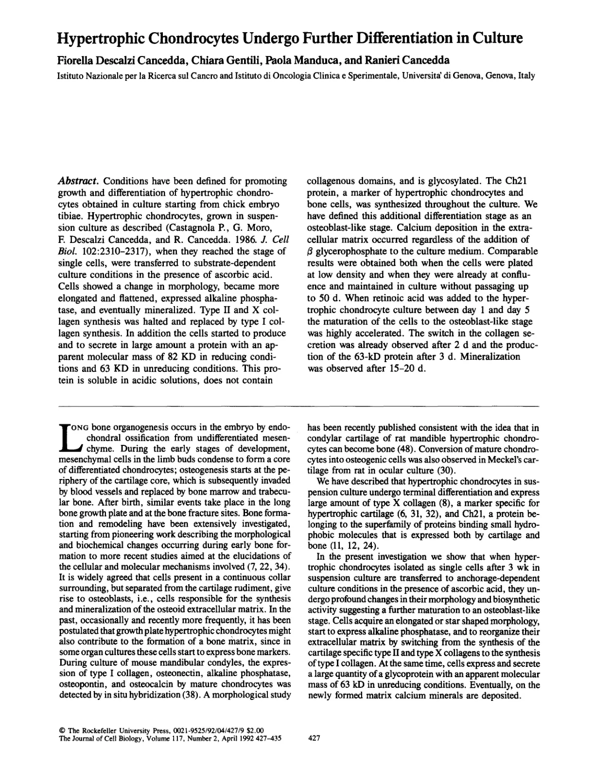 غلاف تقرير Hypertrophic Chondrocytes Undergo Further Differentiation in Culture